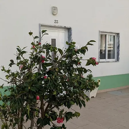 度假居 Casa Domingues *