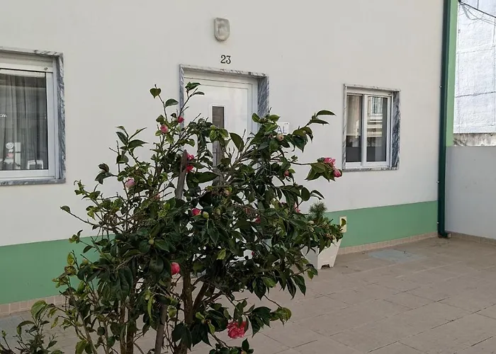 Tatil Evi Casa Domingues *